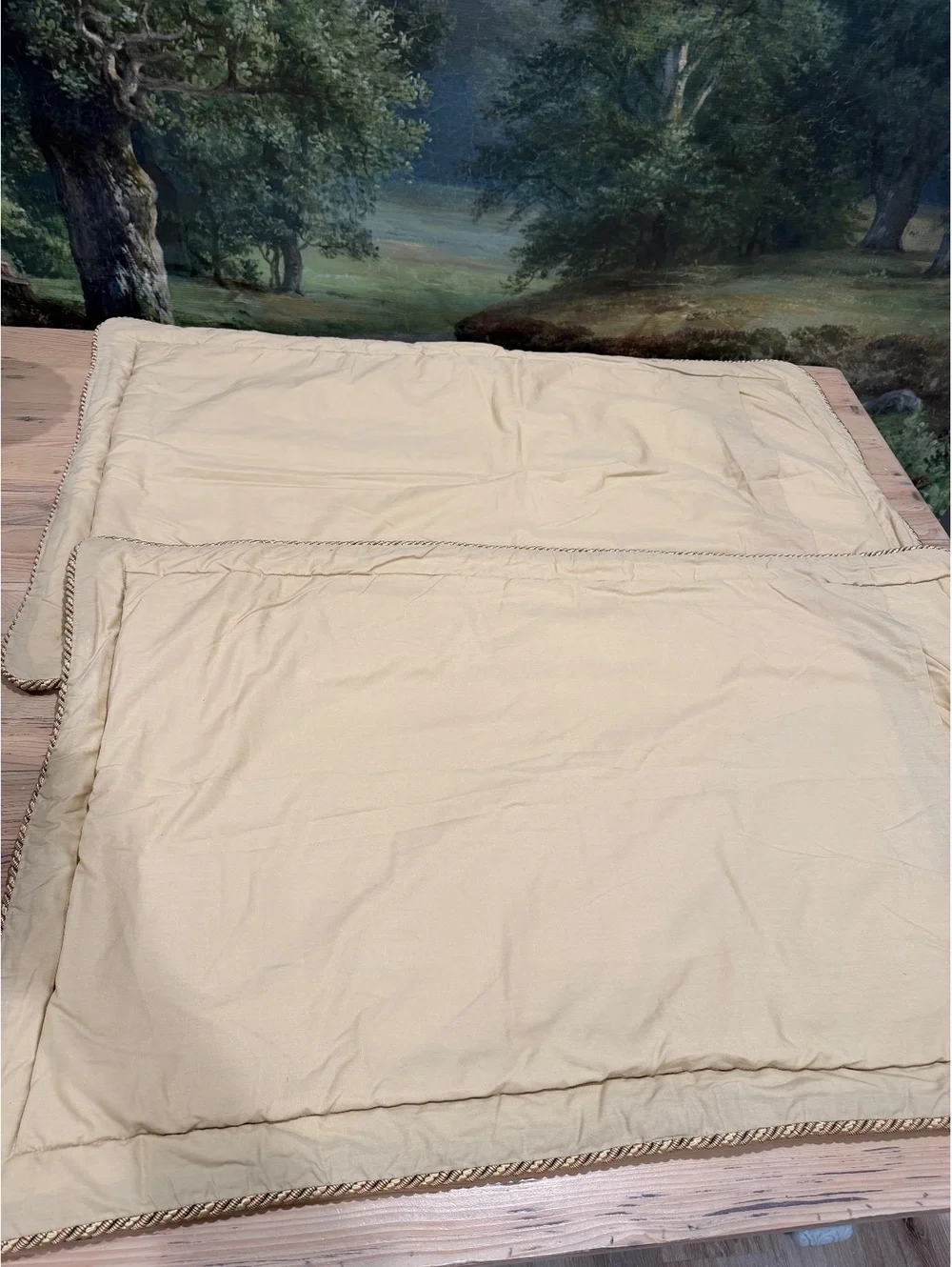 Croscill Home King Size Shames Pillow Covers in Gold Floral Pattern